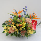 Tropical arrangement