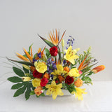 Tropical arrangement