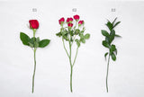 Rose Bouquet (Garden roses and Spray roses)
