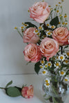 Rose Bouquet (1/2 dozen)